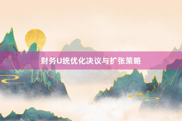 财务U统优化决议与扩张策略