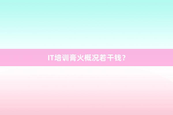 IT培训膏火概况若干钱？