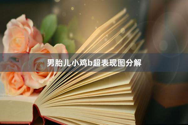 男胎儿小鸡b超表现图分解