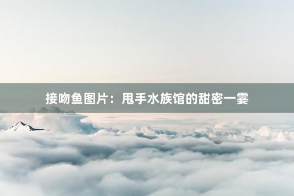 接吻鱼图片：甩手水族馆的甜密一霎