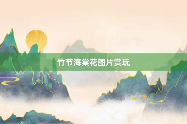 竹节海棠花图片赏玩